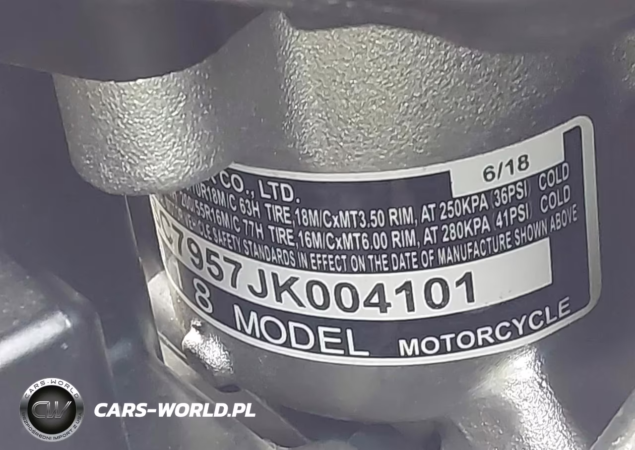 2018 Honda Gl1800 D VIN:JH2SC7957JK004101 - 10