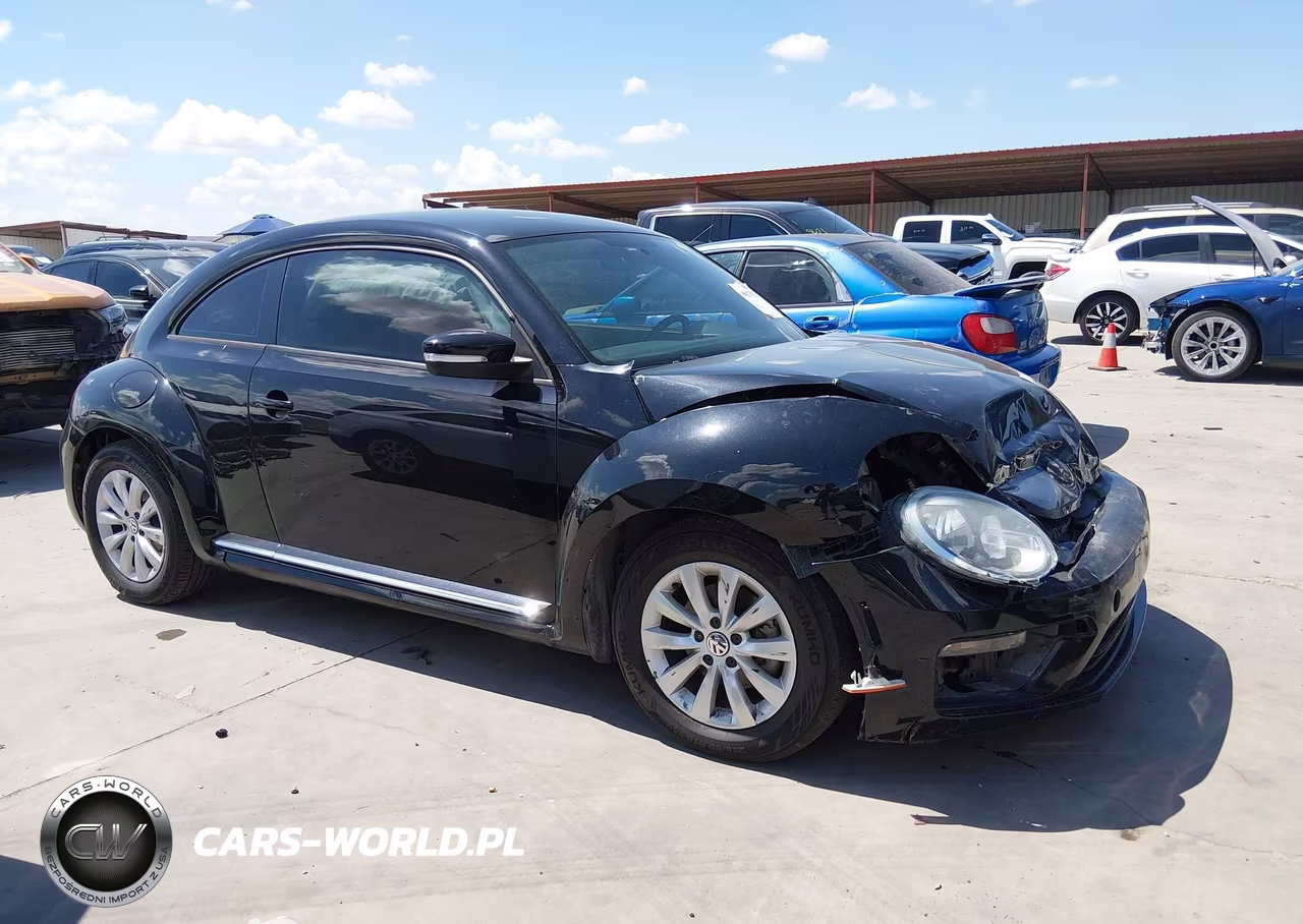 2019 Volkswagen Beetle 2.0T Final Edition Se-2.0T Final Edition Sel-2.0T S VIN:3VWFD7AT1KM708593 - 13