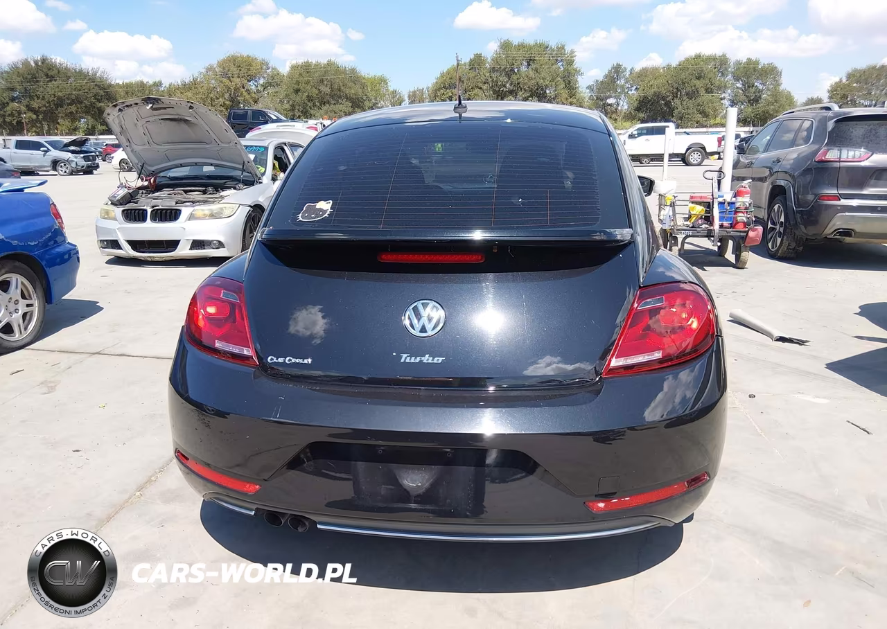 2019 Volkswagen Beetle 2.0T Final Edition Se-2.0T Final Edition Sel-2.0T S VIN:3VWFD7AT1KM708593 - 16