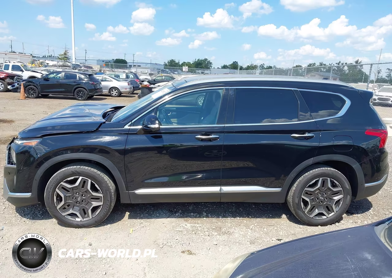 2021 Hyundai Santa Fe Limited VIN:5NMS4DAL8MH312375 - 15