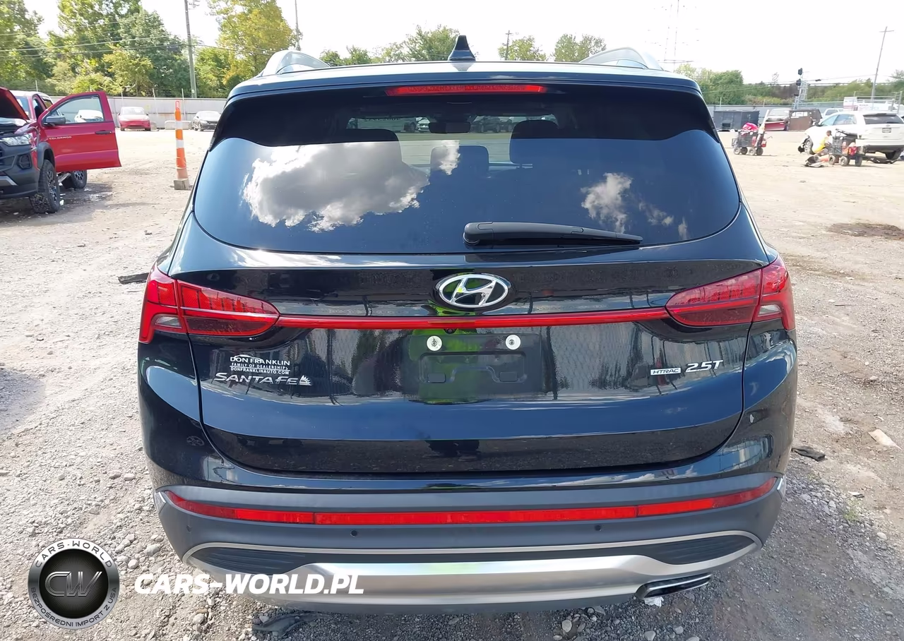 2021 Hyundai Santa Fe Limited VIN:5NMS4DAL8MH312375 - 17