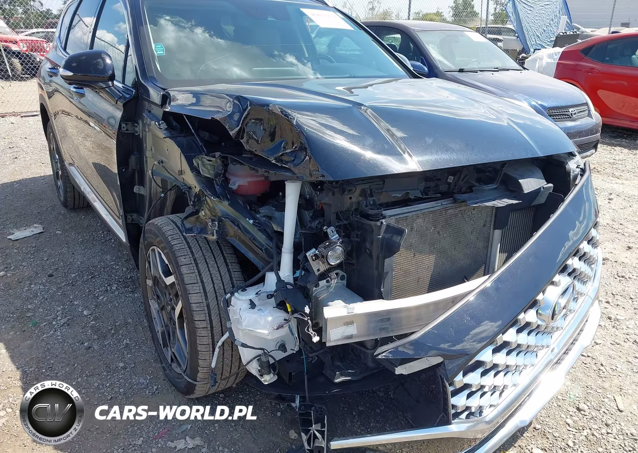 2021 Hyundai Santa Fe Limited VIN:5NMS4DAL8MH312375 - 6