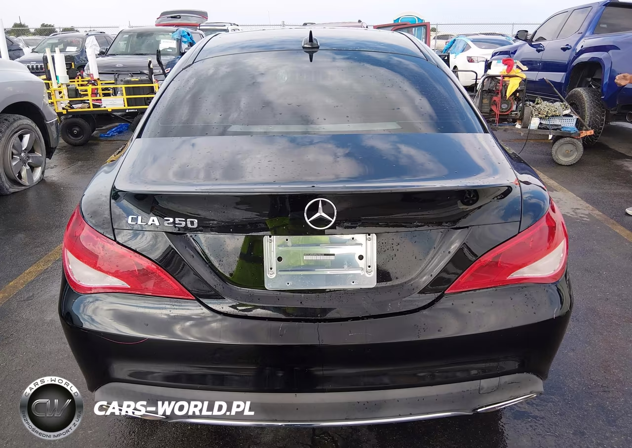 2019 Mercedes-Benz Cla 250 VIN:WDDSJ4EB4KN698633 - 16