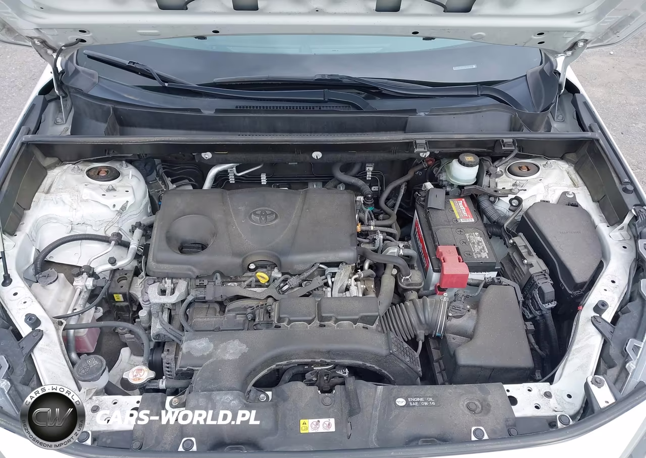 2019 Toyota Rav4 Le VIN:JTMG1RFV8KJ013319 - 10