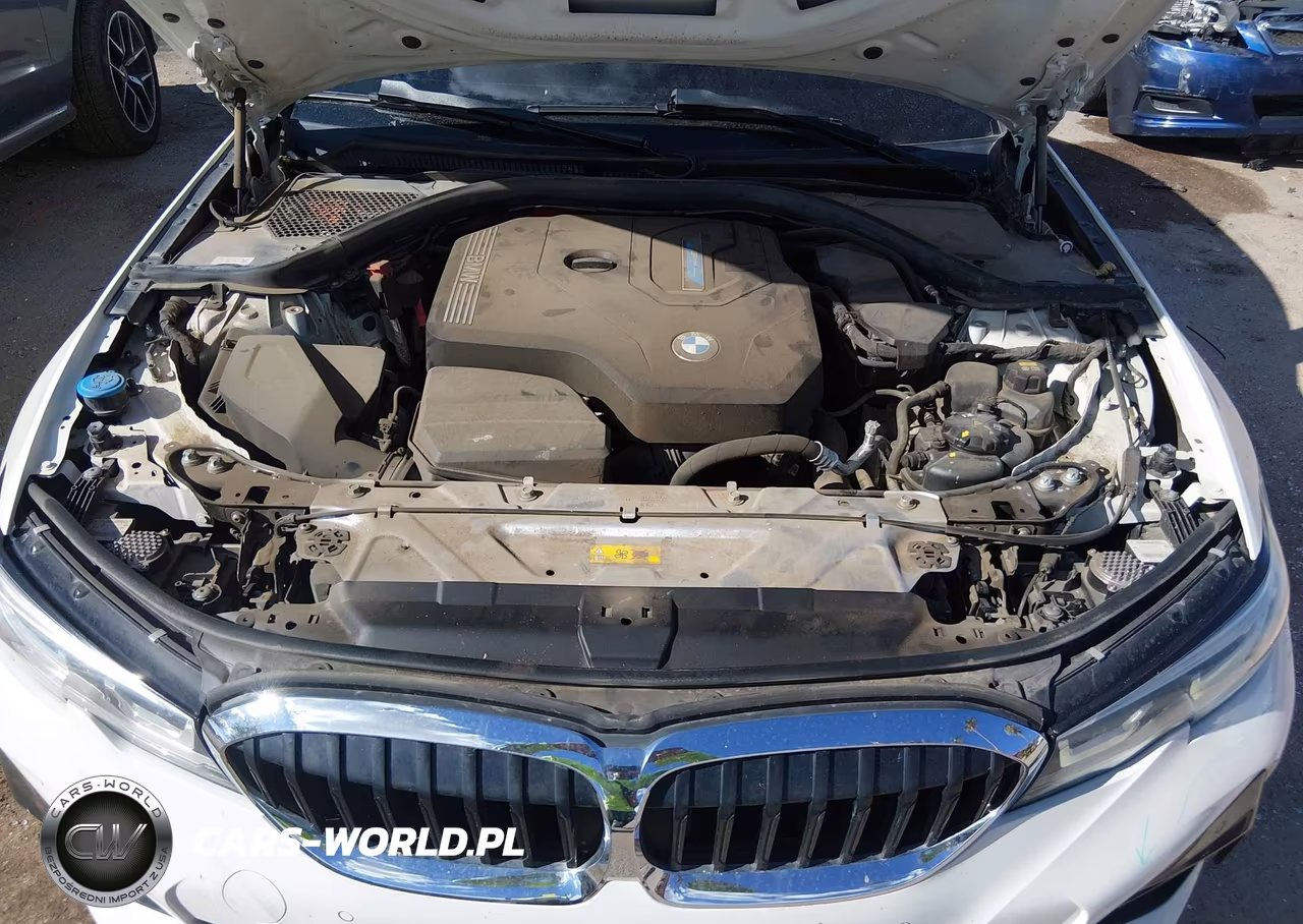 2021 BMW 330E VIN:3MW5P7J01M8C12018 - 10