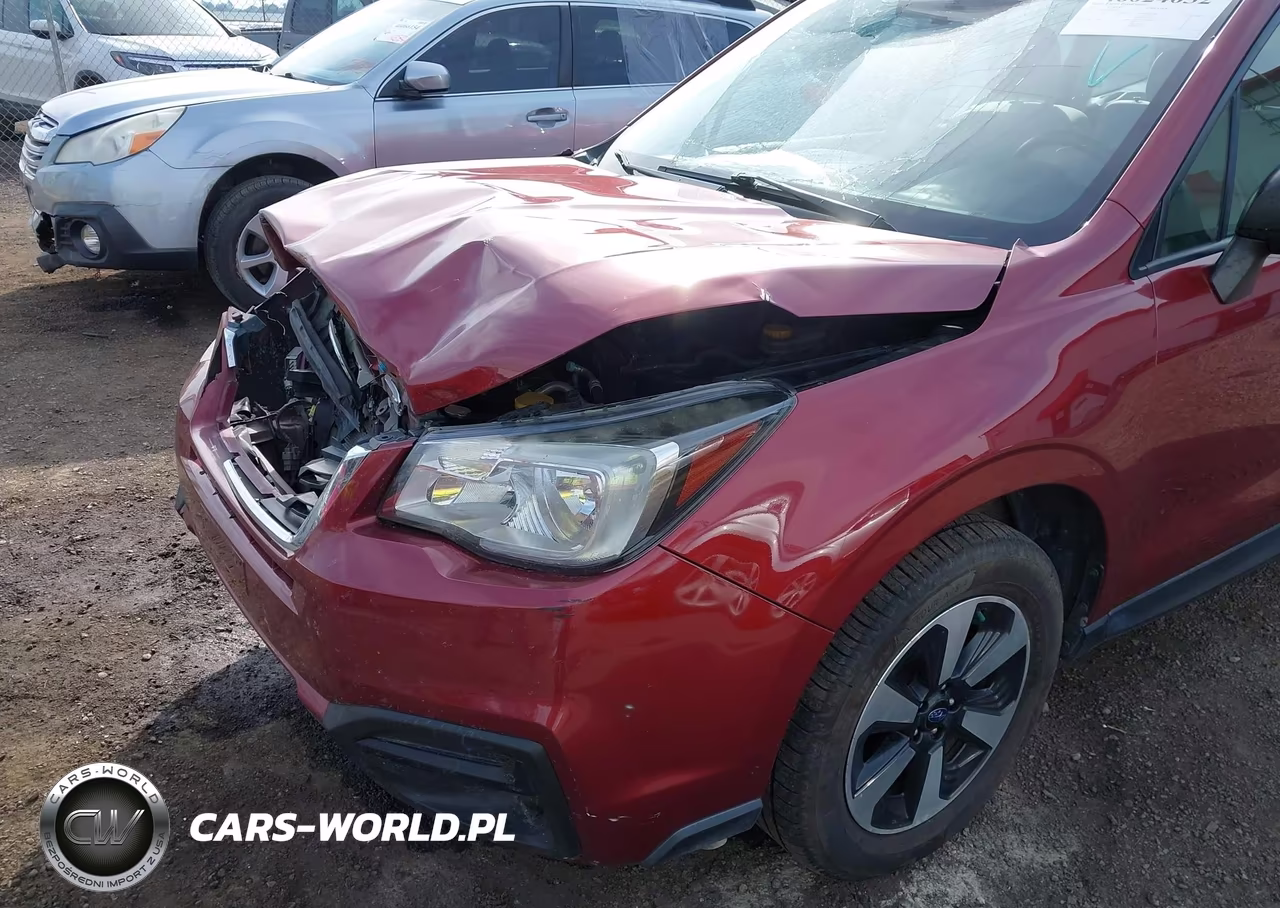 2017 Subaru Forester 2.5I VIN:JF2SJABC6HH518180 - 18