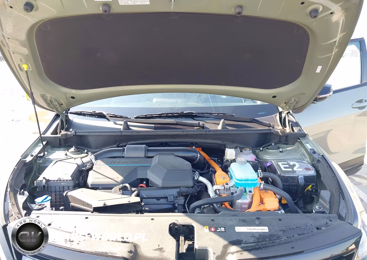 2025 Kia Sportage Plug-In Hybrid X-Line VIN:KNDPYDDH0S7185014 - 10