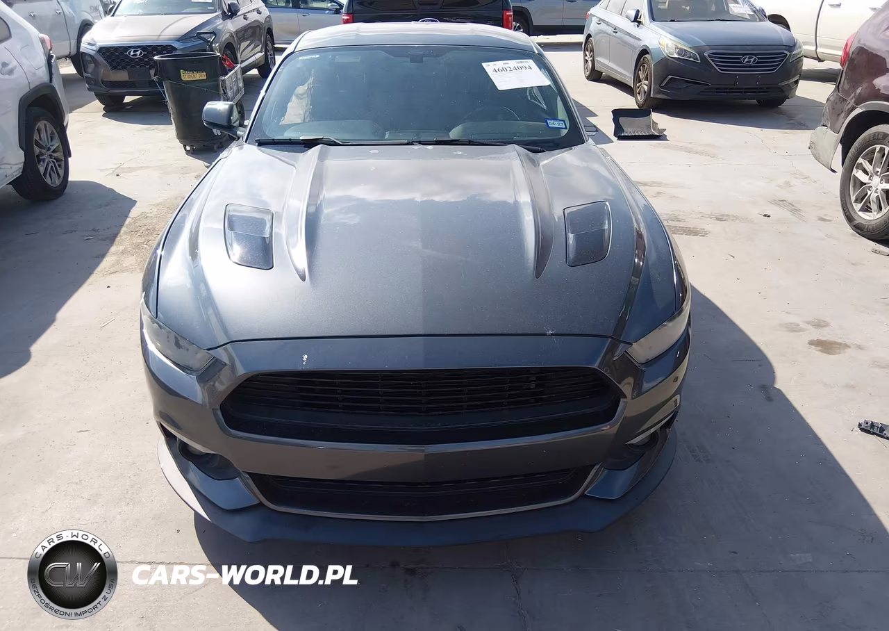 2016 Ford Mustang Gt Premium VIN:1FA6P8CF7G5246731 - 12