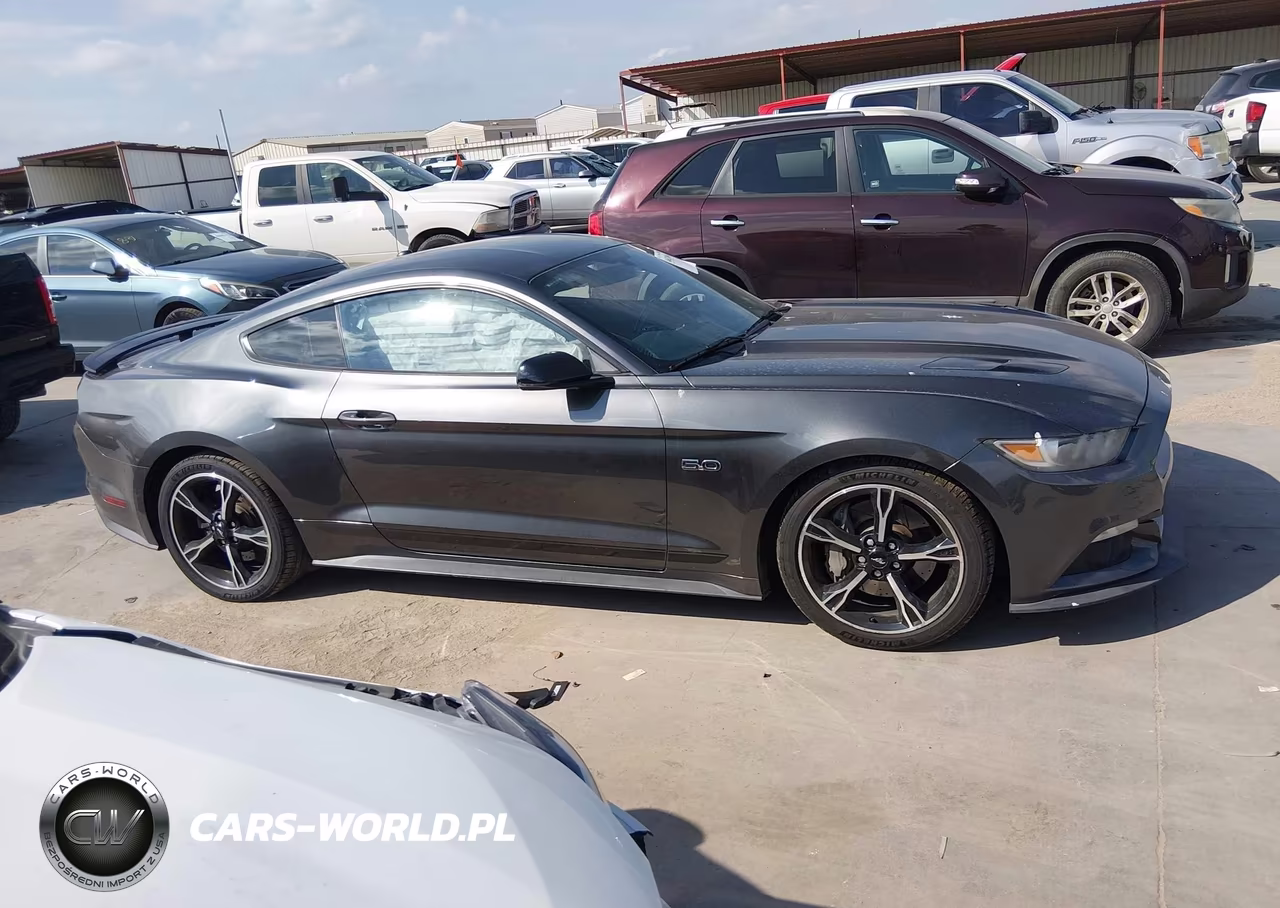 2016 Ford Mustang Gt Premium VIN:1FA6P8CF7G5246731 - 13