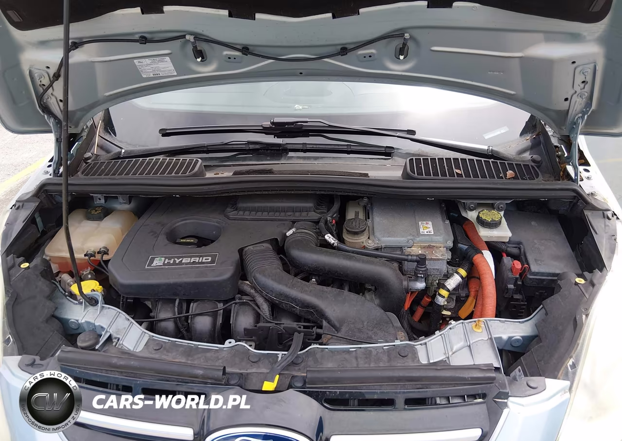 2013 Ford C-Max Hybrid Se VIN:1FADP5AU9DL547080 - 10