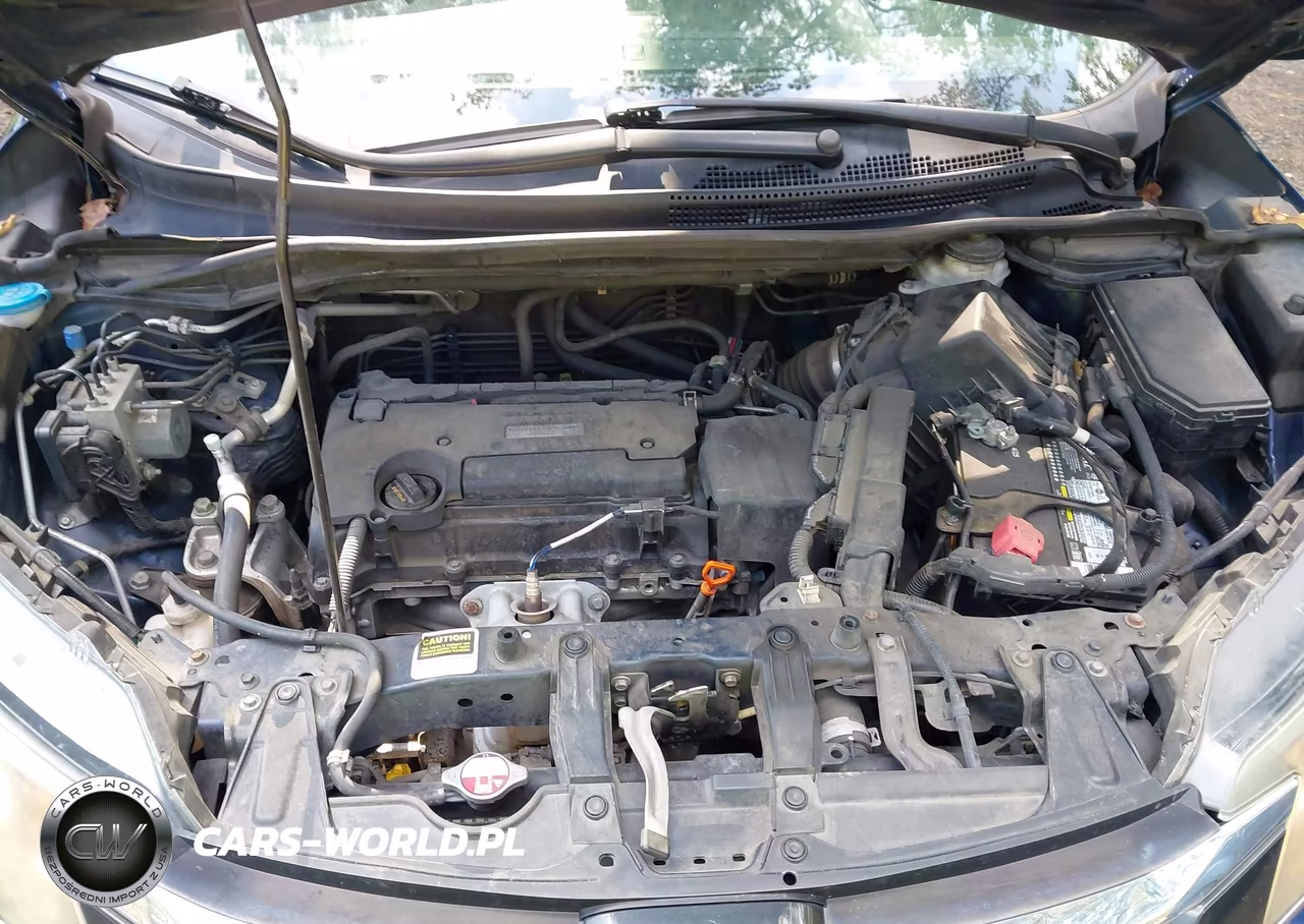2016 Honda Cr-V Se VIN:2HKRM3H46GH533858 - 10