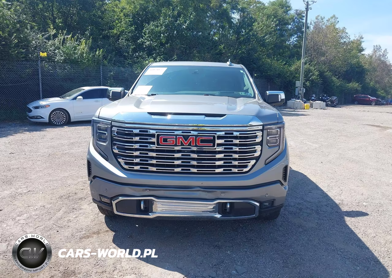 2023 GMC Sierra 1500 4Wd Standard Box Denali VIN:3GTUUGEL2PG163725 - 12