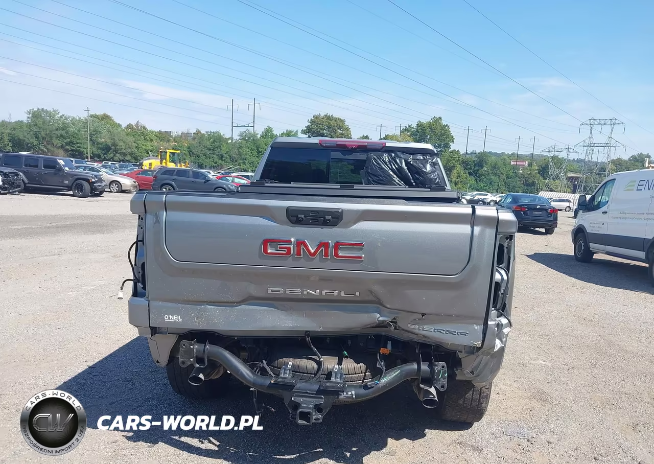 2023 GMC Sierra 1500 4Wd Standard Box Denali VIN:3GTUUGEL2PG163725 - 16