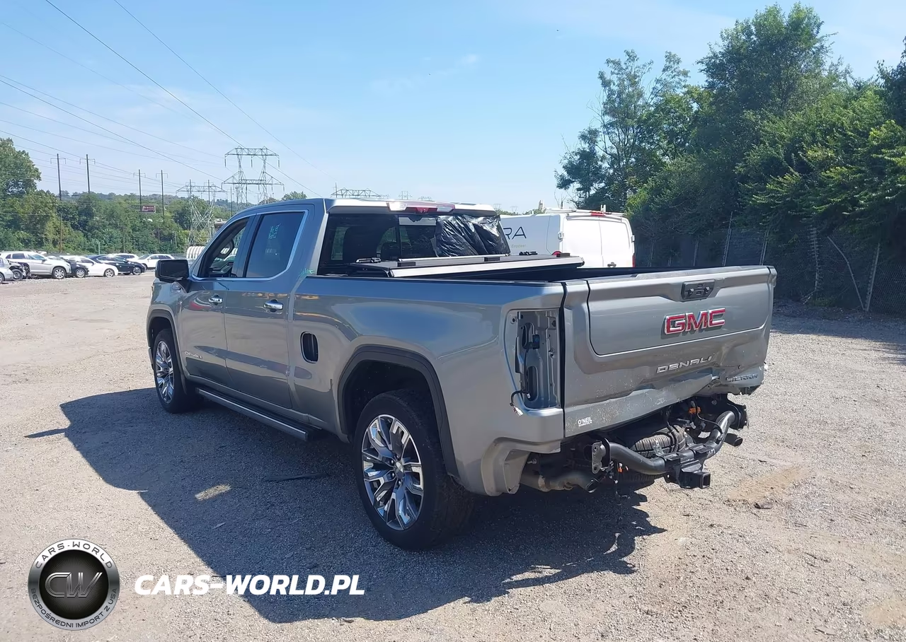 2023 GMC Sierra 1500 4Wd Standard Box Denali VIN:3GTUUGEL2PG163725 - 3
