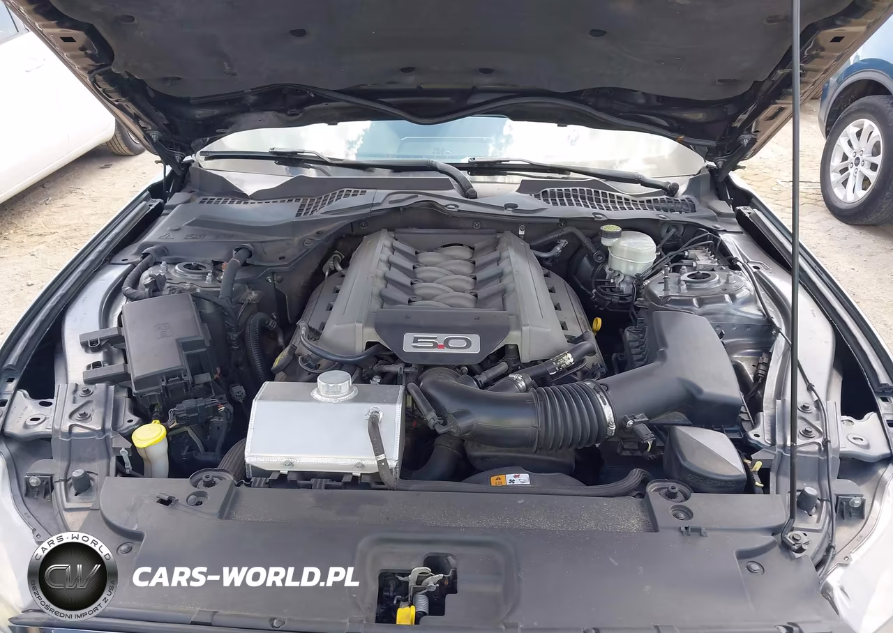 2015 Ford Mustang Gt Premium VIN:1FA6P8CF6F5350562 - 10