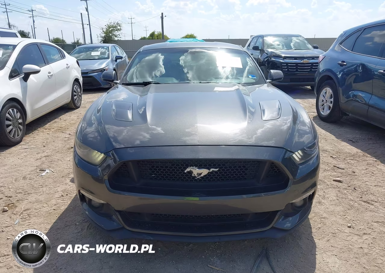 2015 Ford Mustang Gt Premium VIN:1FA6P8CF6F5350562 - 12