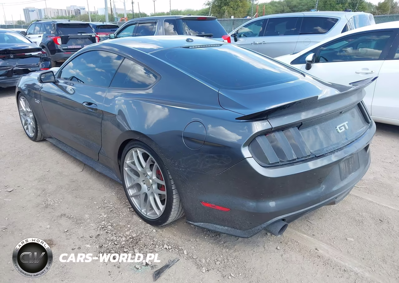 2015 Ford Mustang Gt Premium VIN:1FA6P8CF6F5350562 - 3