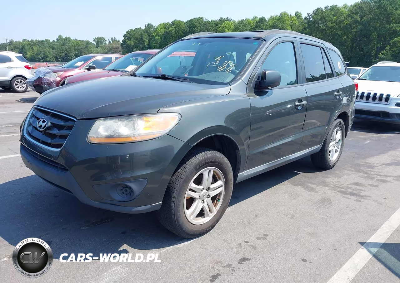 2010 Hyundai Santa Fe Gls VIN:5NMSGDAB7AH350335 - 2