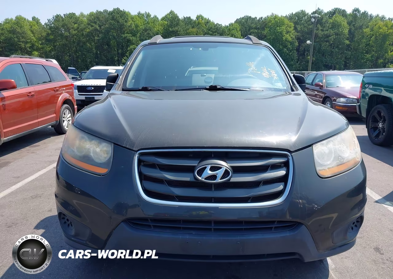 2010 Hyundai Santa Fe Gls VIN:5NMSGDAB7AH350335 - 6
