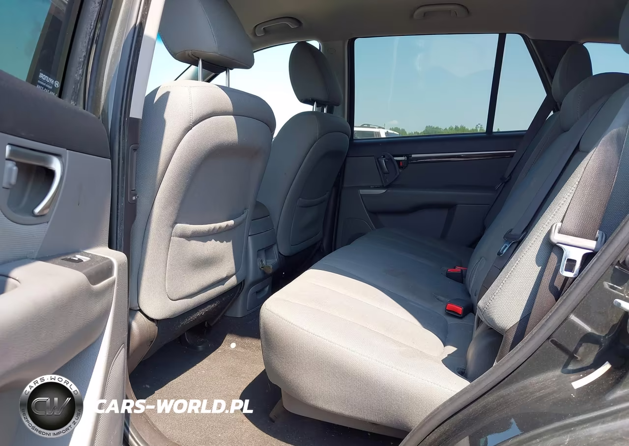 2010 Hyundai Santa Fe Gls VIN:5NMSGDAB7AH350335 - 8