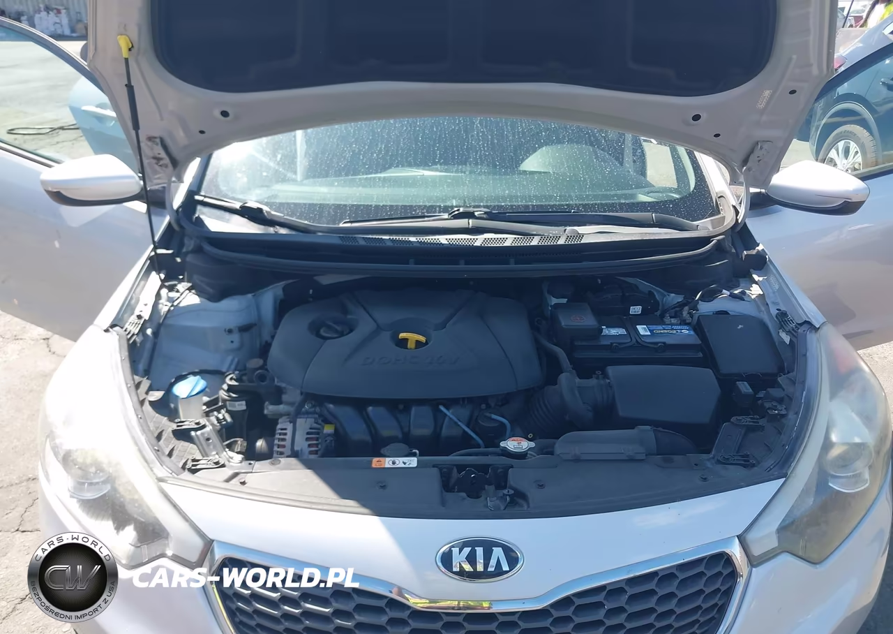 2016 Kia Forte Lx VIN:KNAFK4A61G5515694 - 10