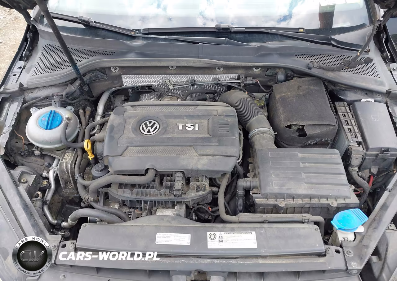 2017 Volkswagen Golf Sportwagen Tsi S-Tsi Se-Tsi Sel VIN:3VWC17AU8HM533966 - 10