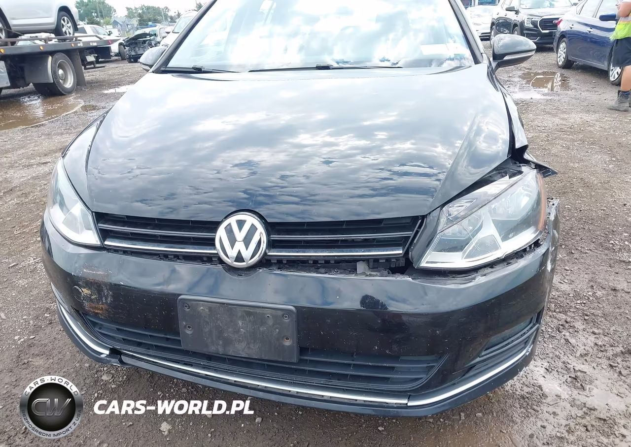 2017 Volkswagen Golf Sportwagen Tsi S-Tsi Se-Tsi Sel VIN:3VWC17AU8HM533966 - 18