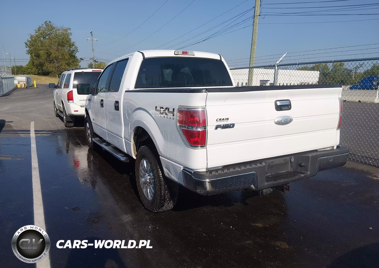 2011 Ford F-150 Xlt VIN:1FTFW1ET3BFB88658 - 3