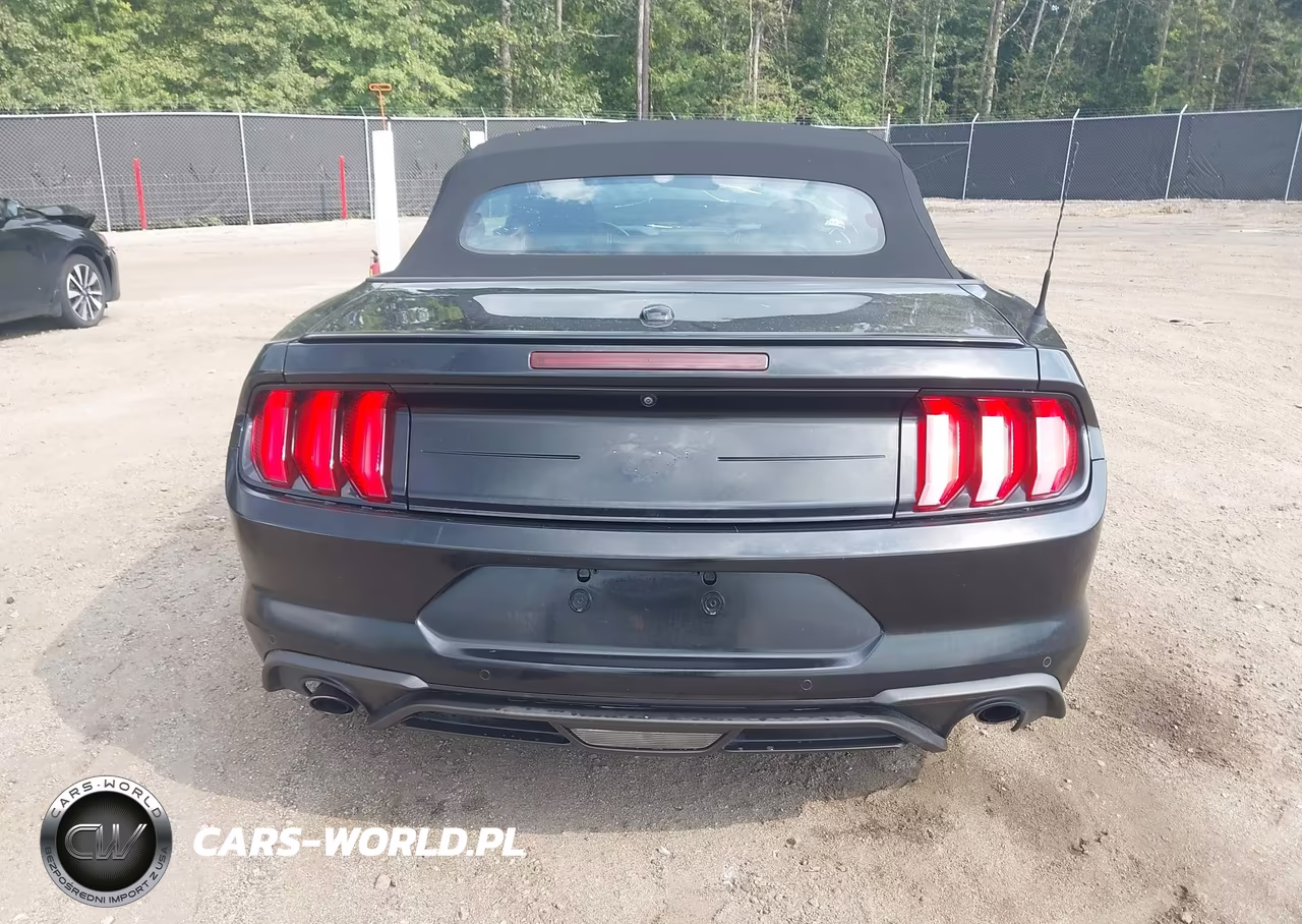 2022 Ford Mustang Ecoboost Premium VIN:1FATP8UH1N5121711 - 17