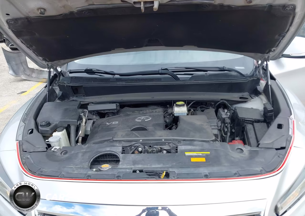 2019 Infiniti Qx60 Pure VIN:5N1DL0MM8KC552896 - 10