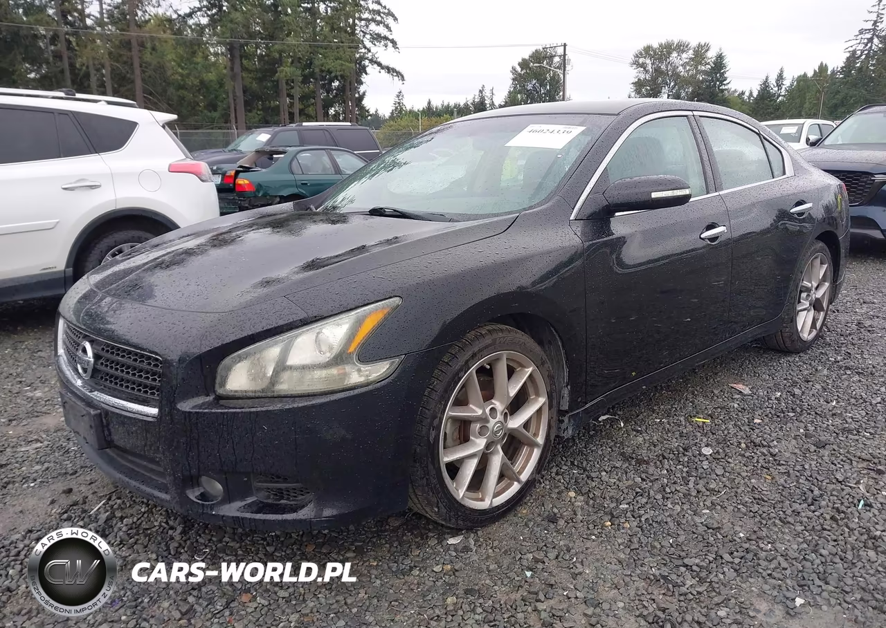 2011 Nissan Maxima 3.5 Sv VIN:1N4AA5AP5BC849686 - 2