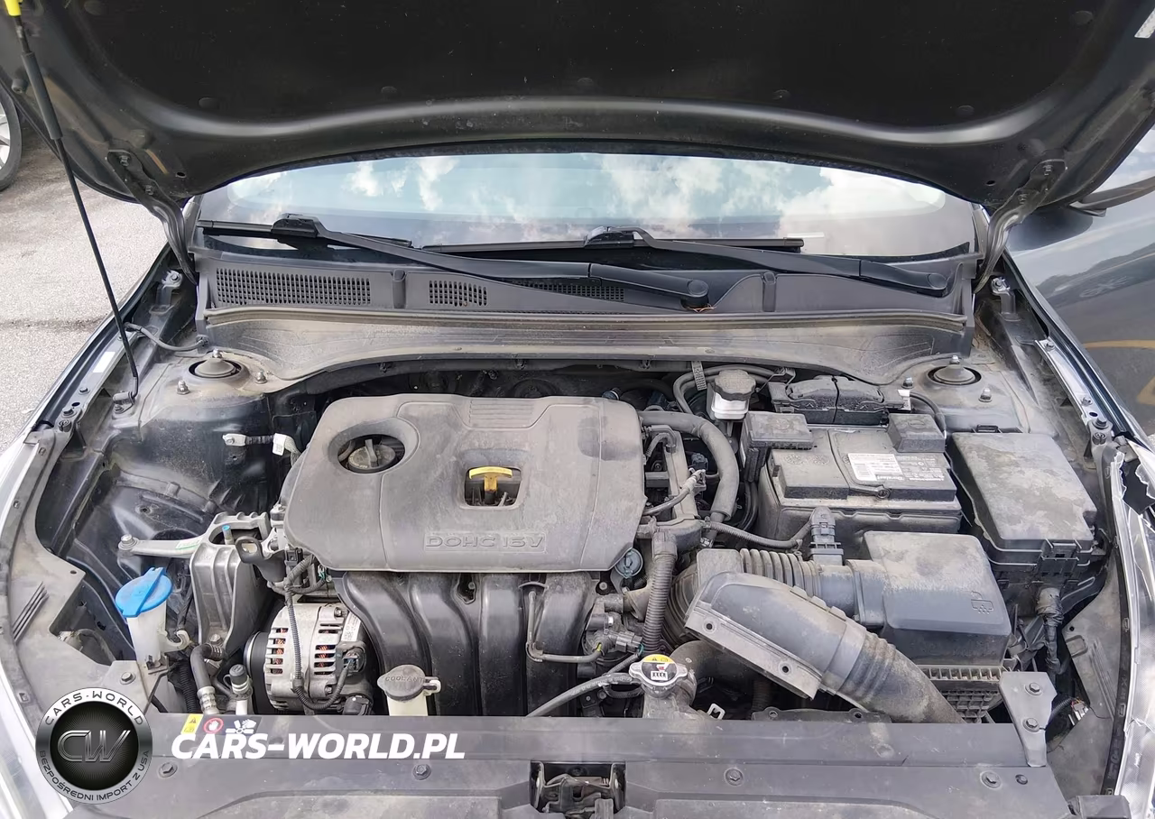 2021 Kia Forte Fe VIN:3KPF24AD1ME339991 - 10