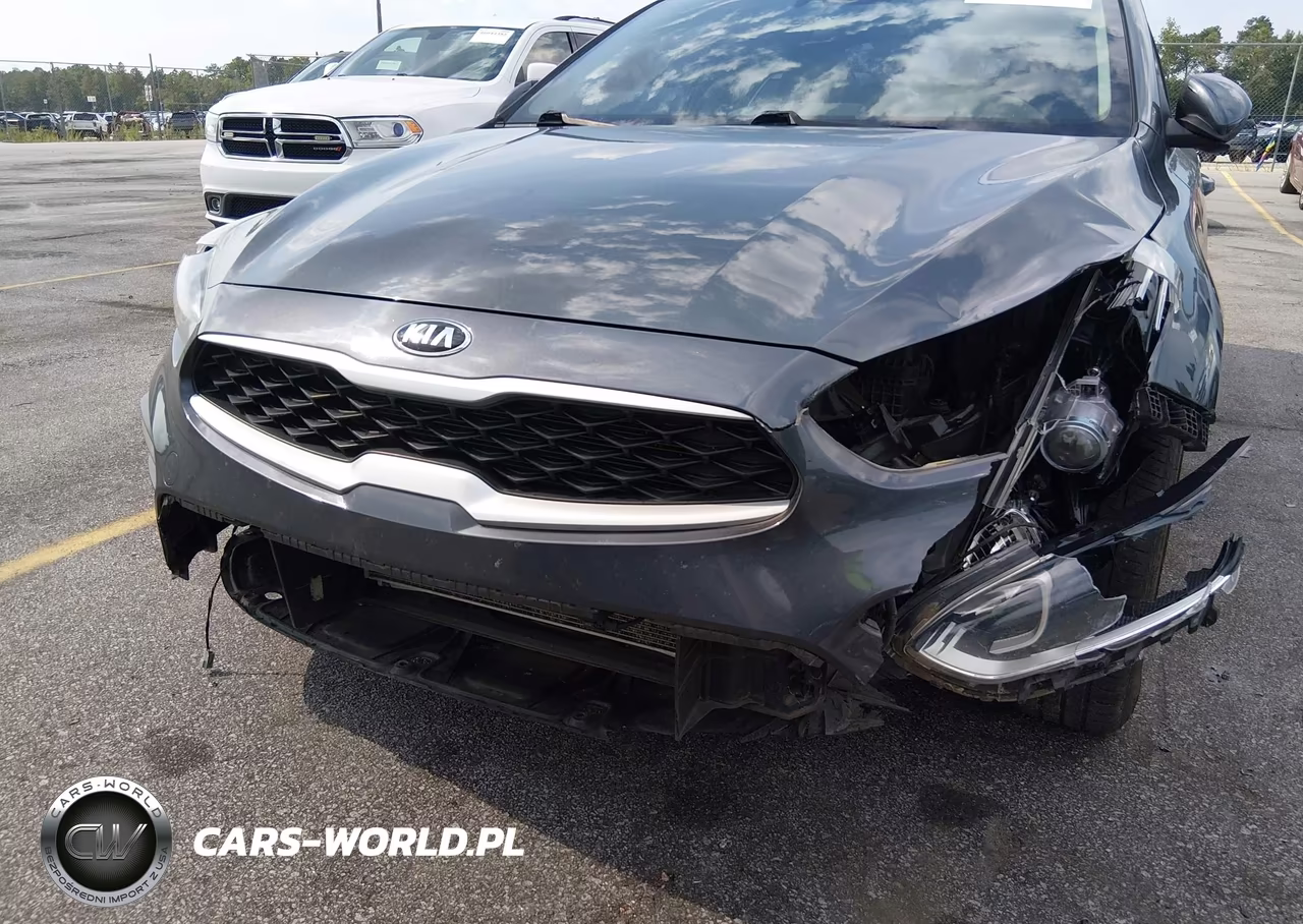 2021 Kia Forte Fe VIN:3KPF24AD1ME339991 - 6