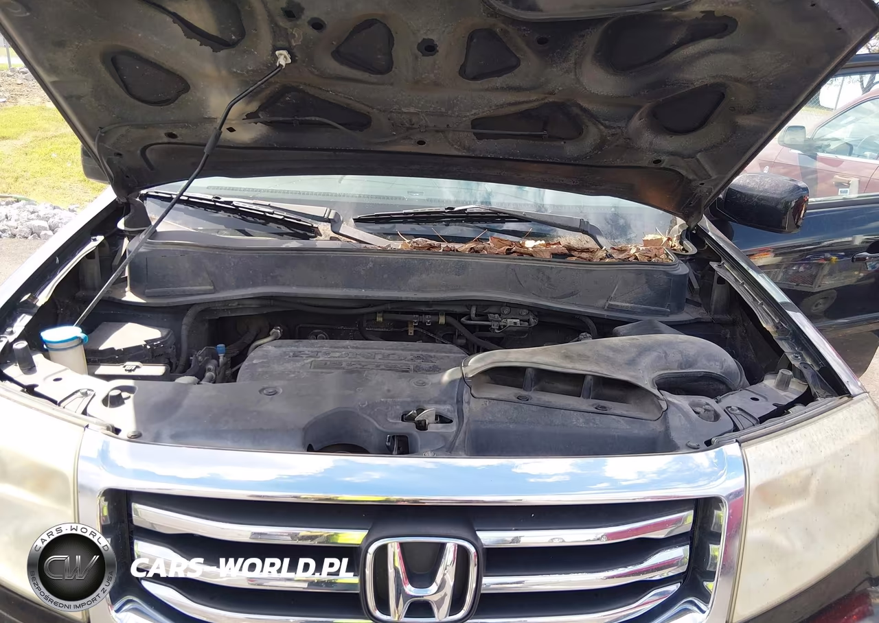 2013 Honda Pilot Ex-L VIN:5FNYF4H76DB021503 - 10