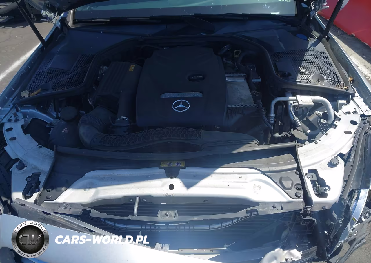 2018 Mercedes-Benz C 300 VIN:WDDWF4JB9JR386761 - 10