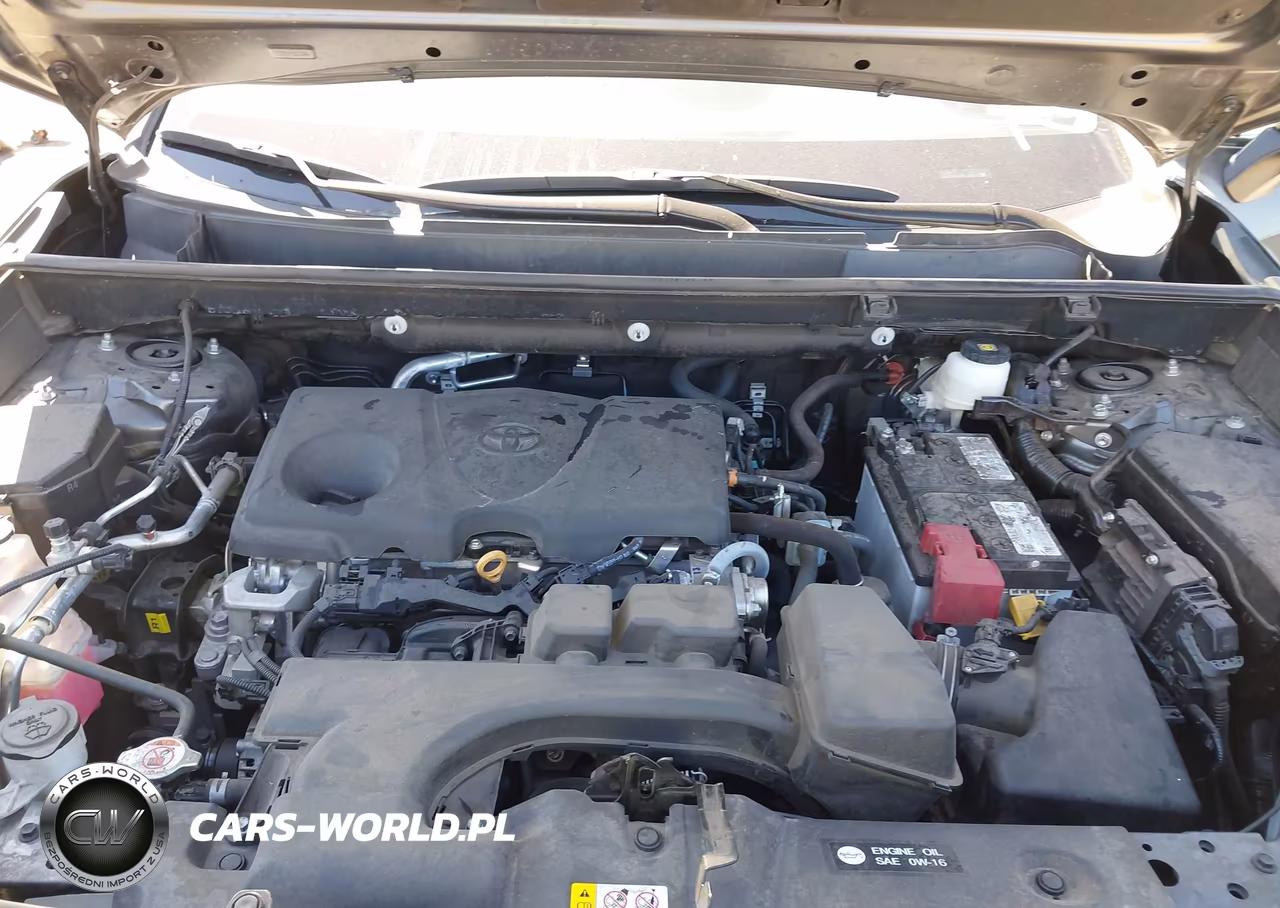 2024 Toyota Rav4 Xle Premium VIN:2T3C1RFV9RC260196 - 10