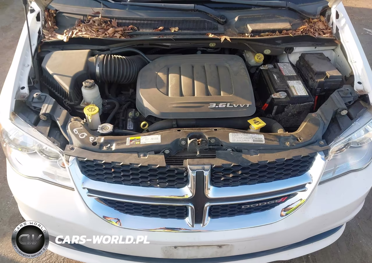 2013 Dodge Grand Caravan Sxt VIN:2C4RDGCG1DR549568 - 10