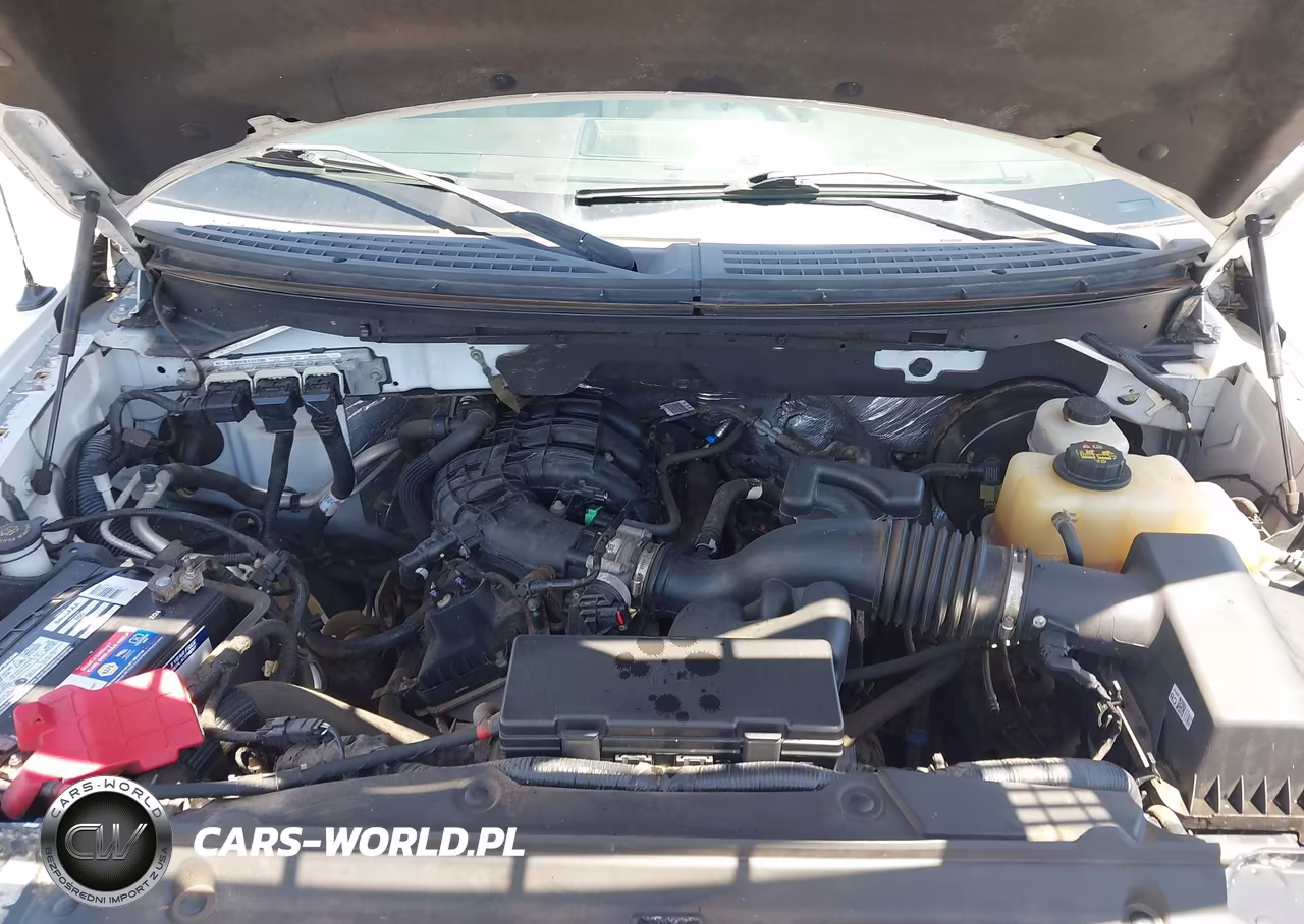 2012 Ford F-150 Xl VIN:1FTMF1CM1CKD65073 - 10