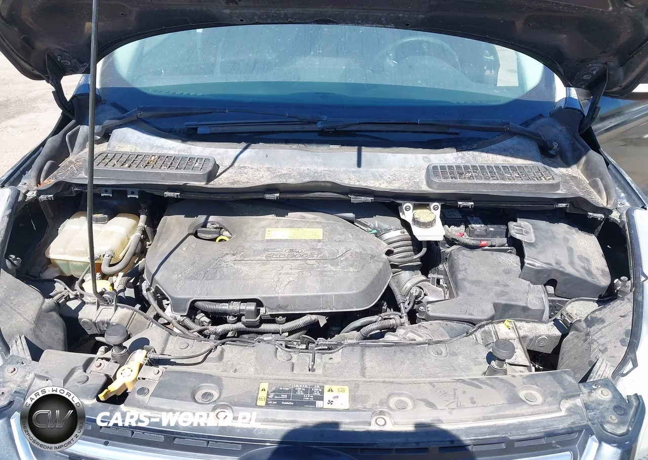 2014 Ford Escape Titanium VIN:1FMCU0JX7EUB72566 - 10