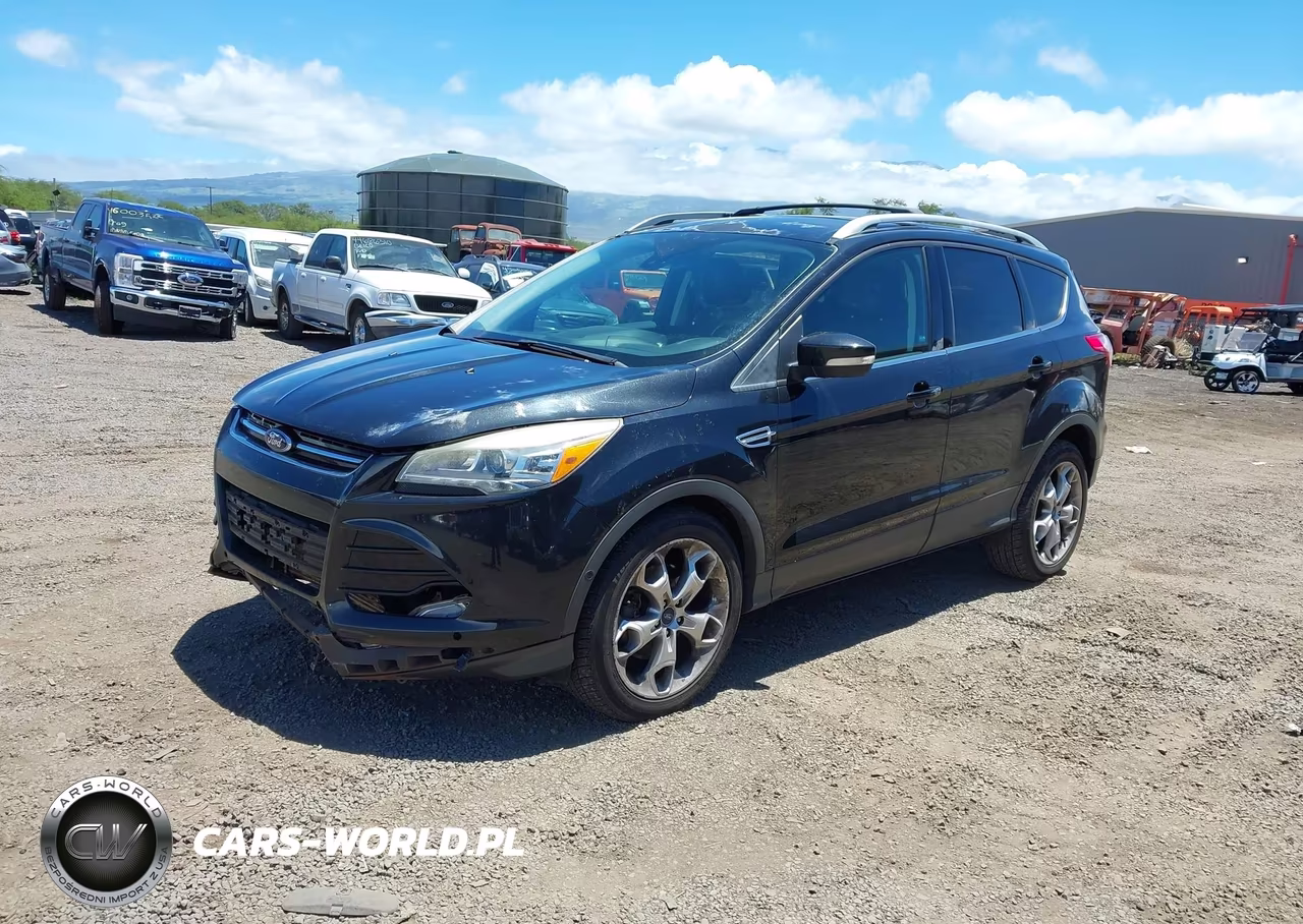 2013 Ford Escape Titanium VIN:1FMCU0J91DUC25116 - 2