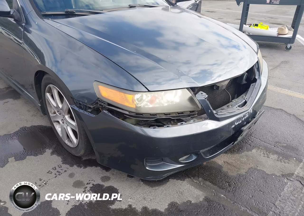2007 Acura Tsx VIN:JH4CL96987C007042 - 6