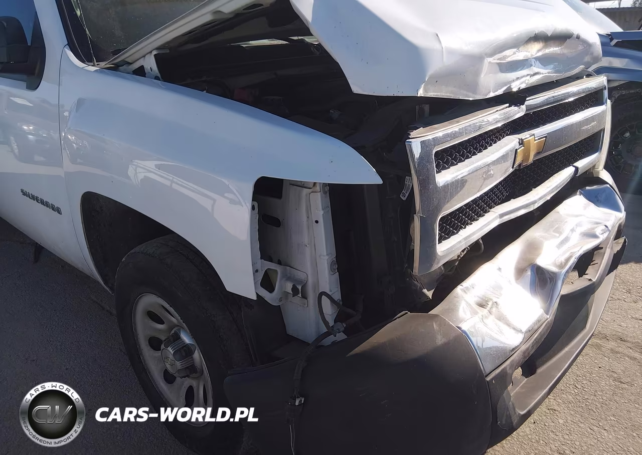 2013 Chevrolet Silverado 1500 Work Truck VIN:1GCRCPE06DZ161745 - 18