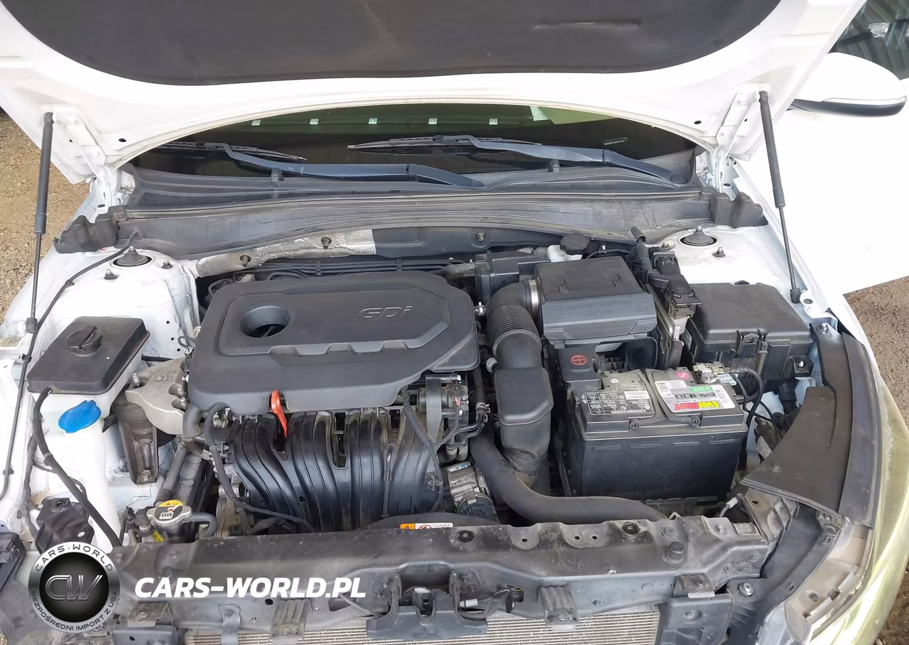 2019 Kia Optima Lx VIN:5XXGT4L36KG311128 - 10