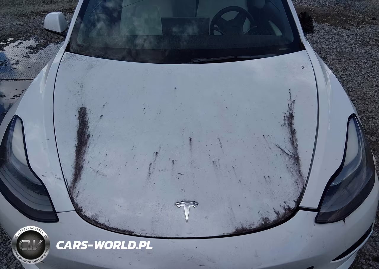 2022 Tesla Model 3 Long Range Dual Motor All-Wheel Drive VIN:5YJ3E1EB8NF233860 - 10