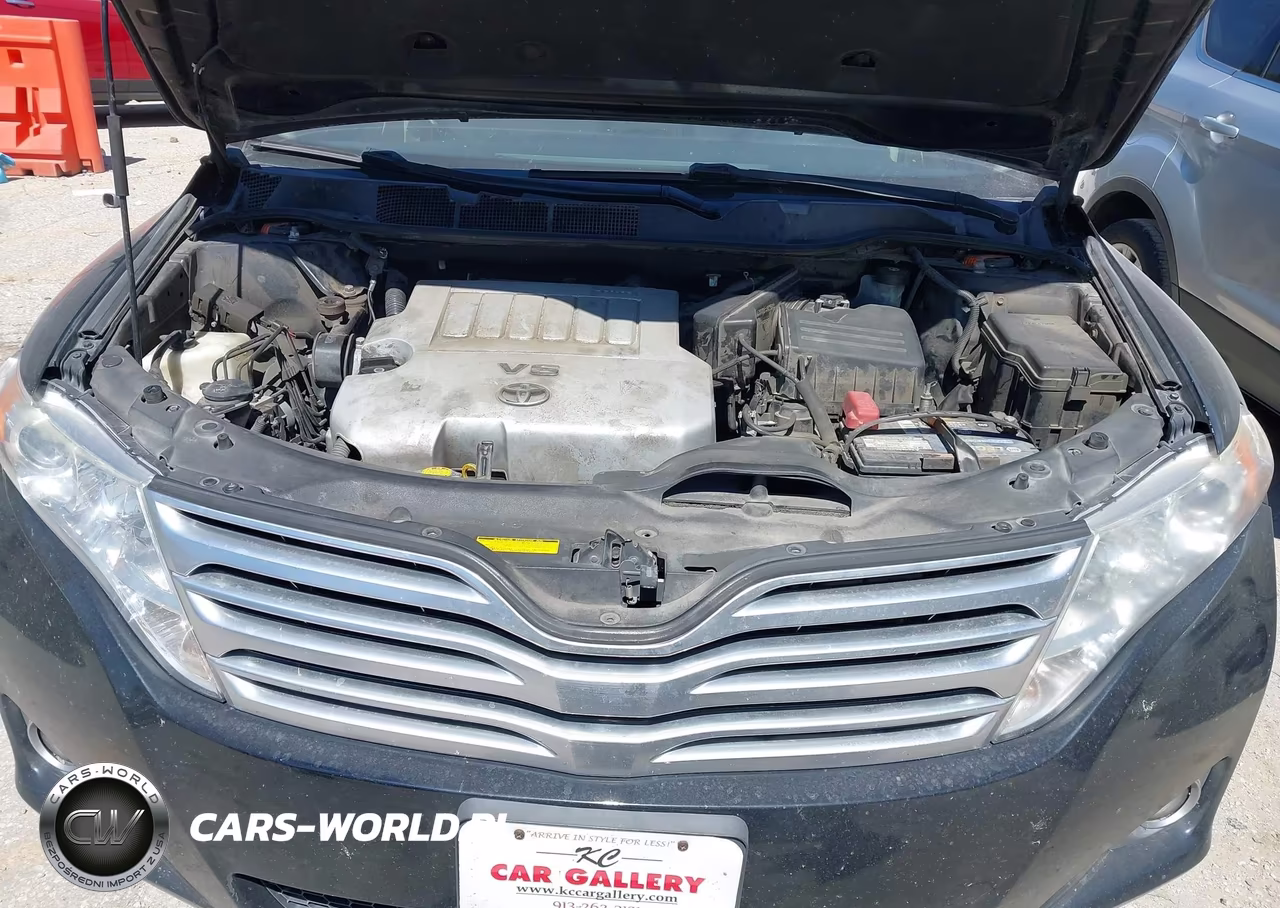 2009 Toyota Venza Base V6 VIN:4T3ZK11A09U011183 - 10
