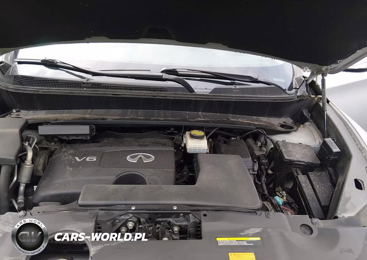 2019 Infiniti Qx60 Pure VIN:5N1DL0MM9KC568590 - 10