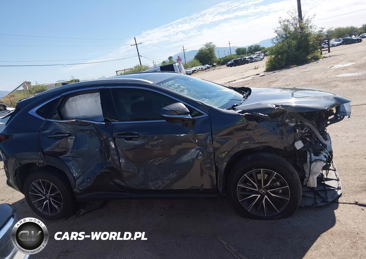 2024 Lexus Nx 350 Premium VIN:2T2GGCEZ8RC048895 - 14