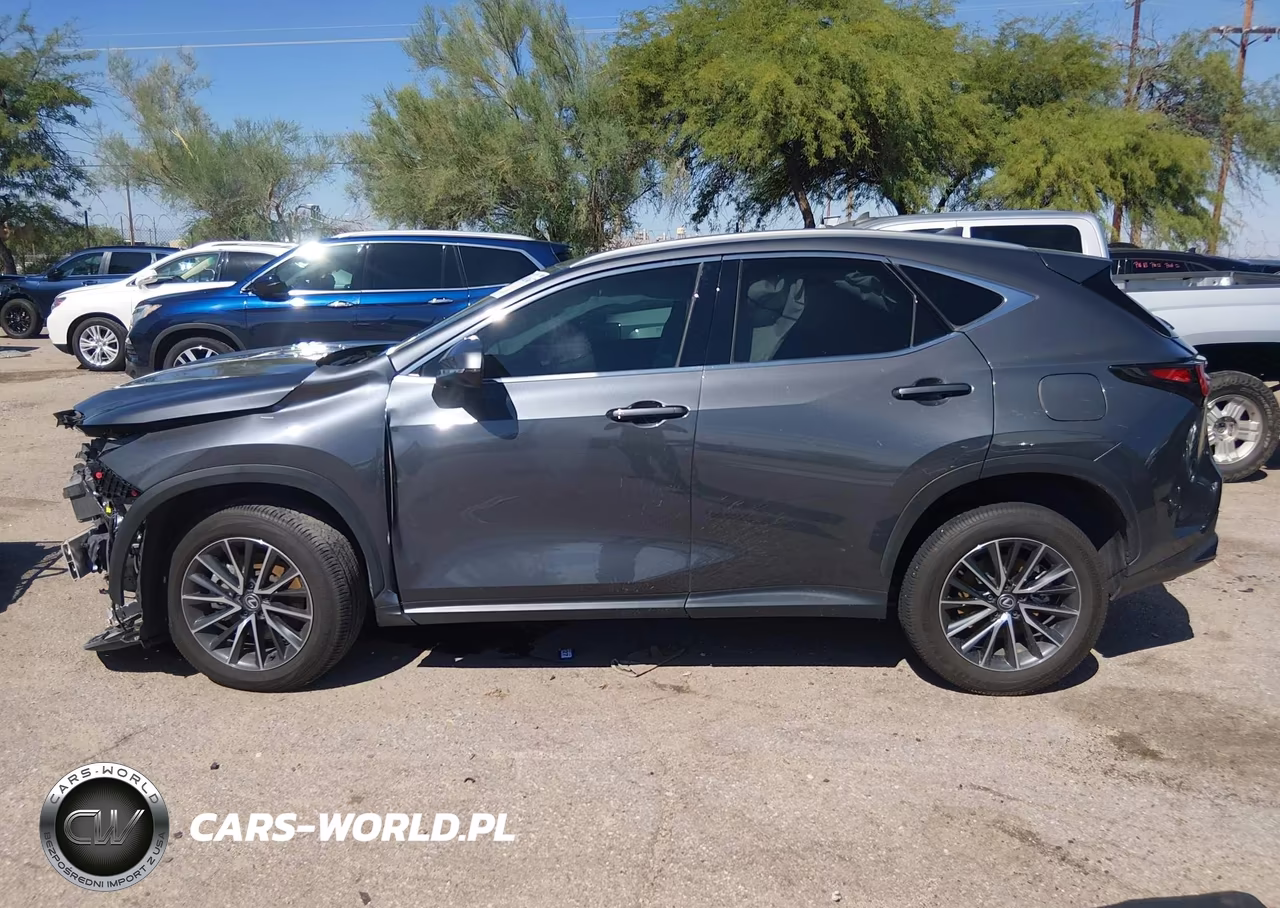 2024 Lexus Nx 350 Premium VIN:2T2GGCEZ8RC048895 - 15