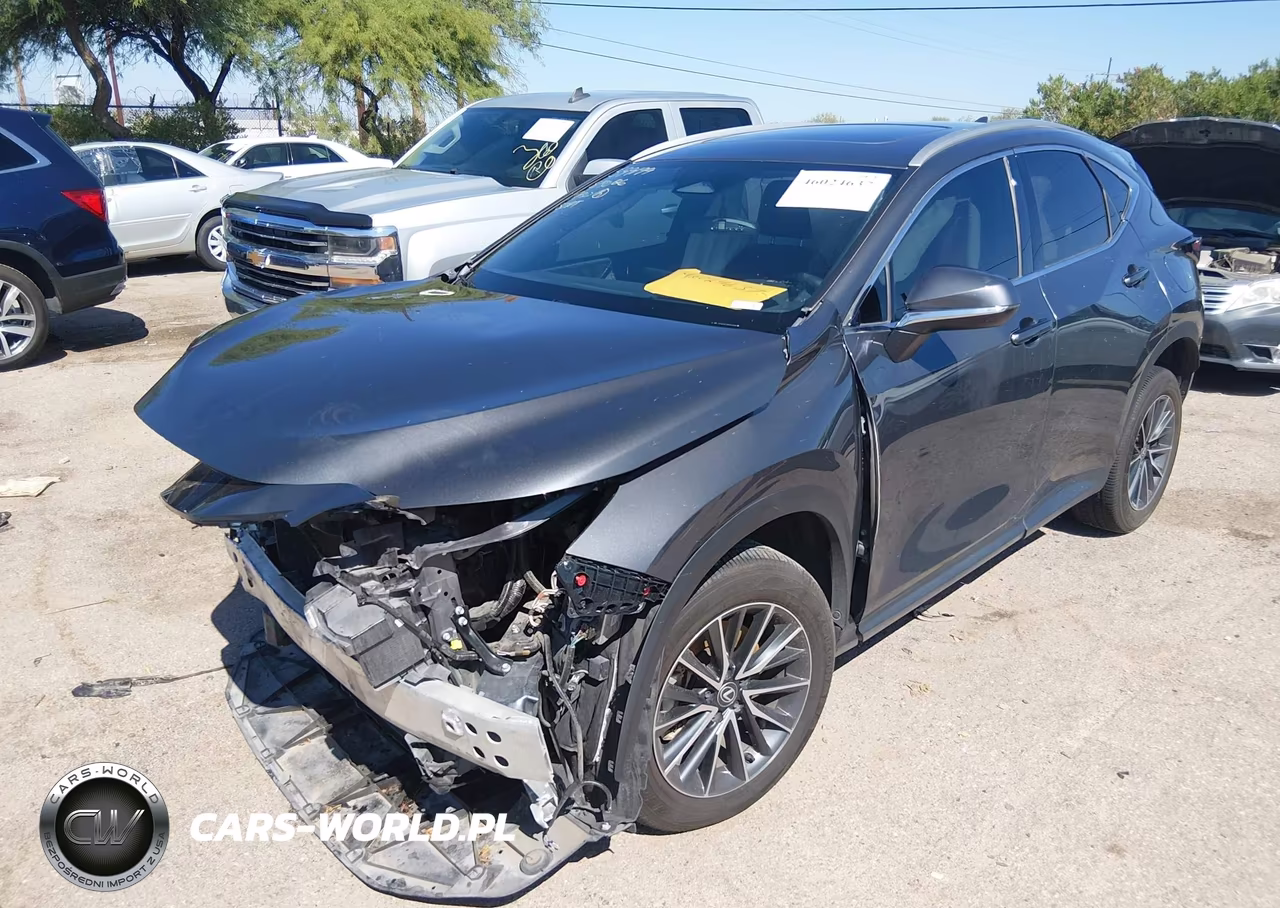 2024 Lexus Nx 350 Premium VIN:2T2GGCEZ8RC048895 - 2
