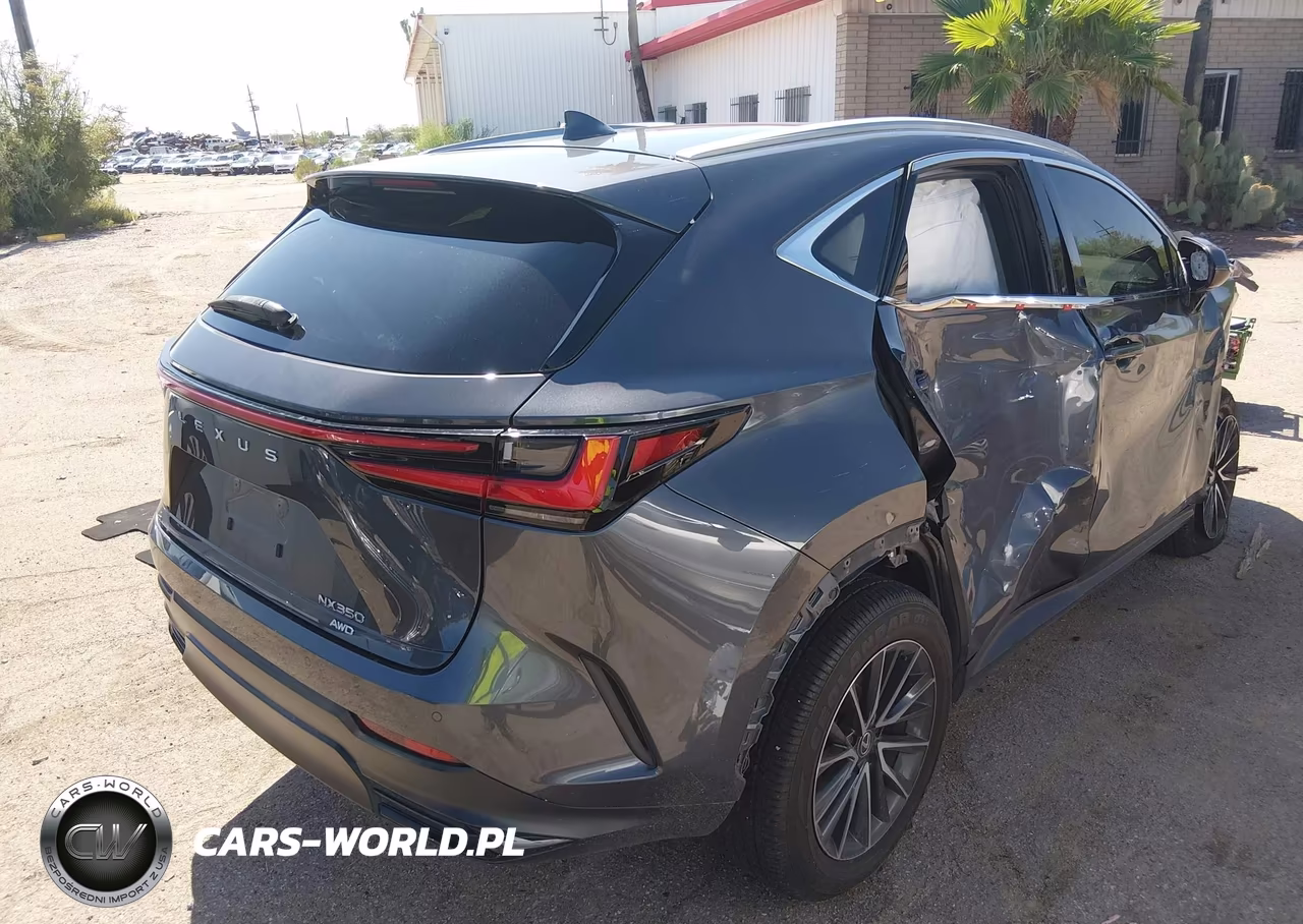 2024 Lexus Nx 350 Premium VIN:2T2GGCEZ8RC048895 - 4